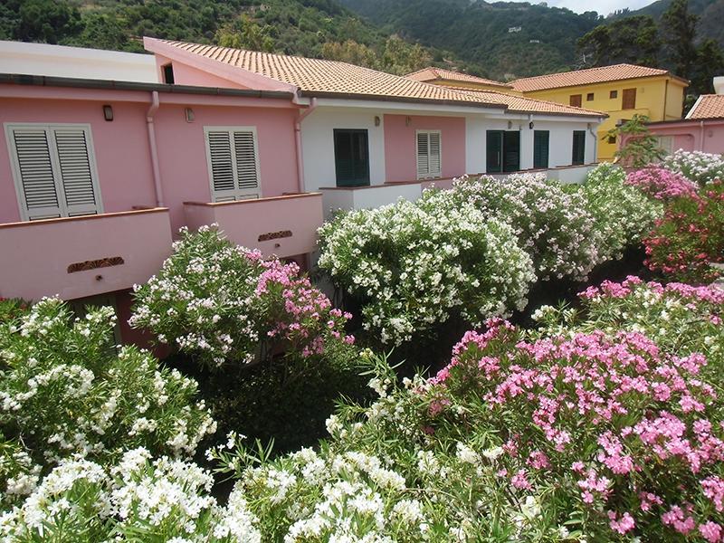 Villaggio Hotel Club Calanovellamare Piraino Dış mekan fotoğraf
