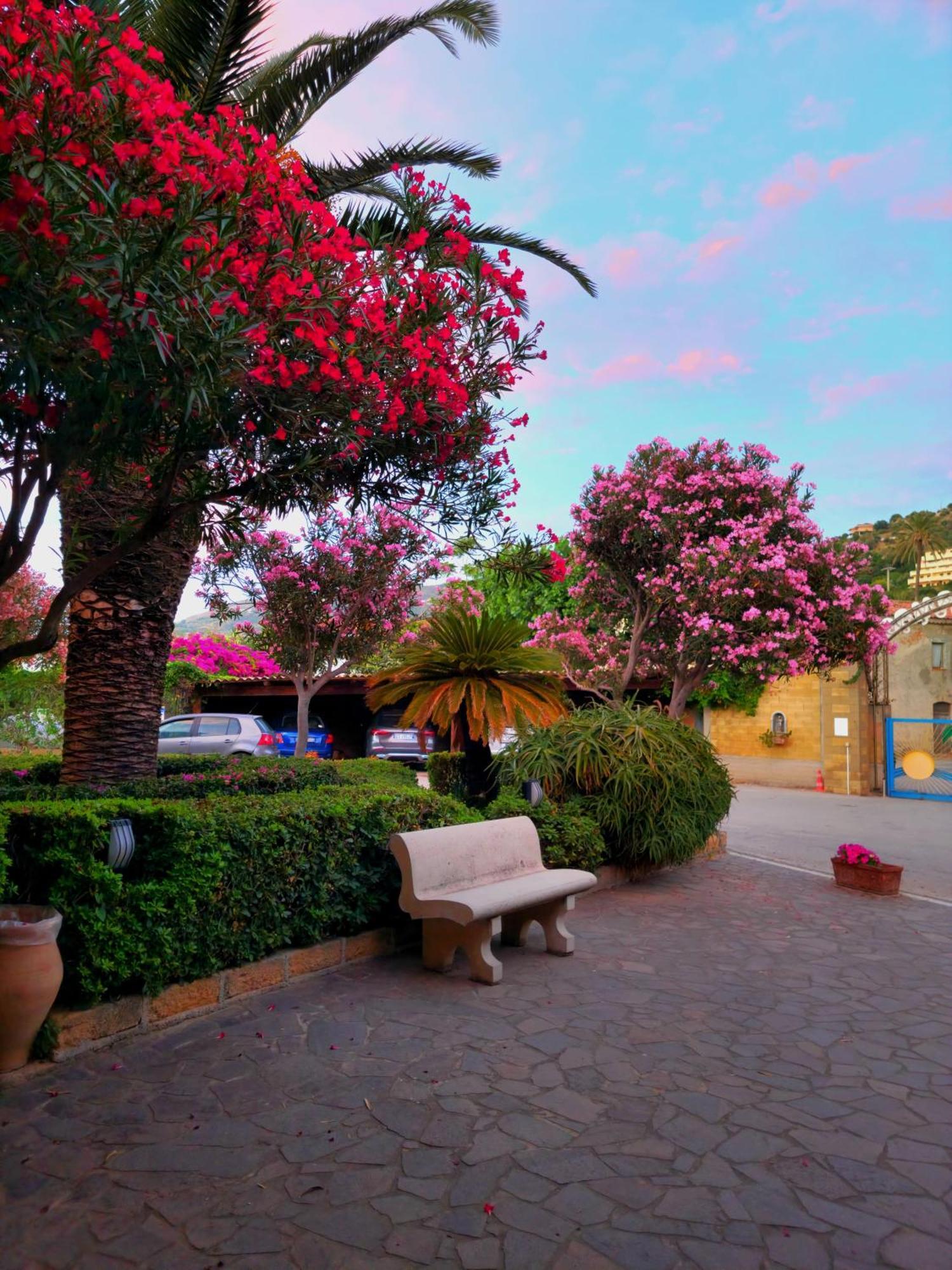 Villaggio Hotel Club Calanovellamare Piraino Dış mekan fotoğraf